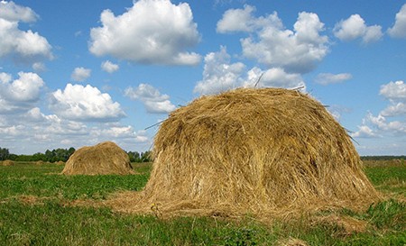 Секс под открытым небом