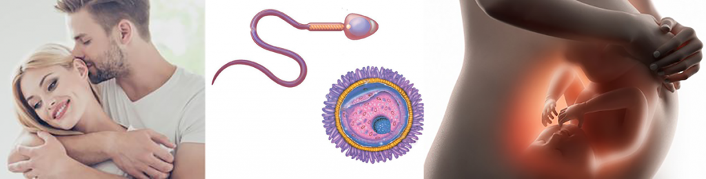 зачатие ребенка