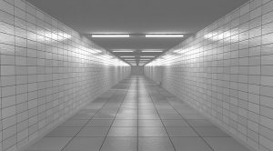 Однообразие