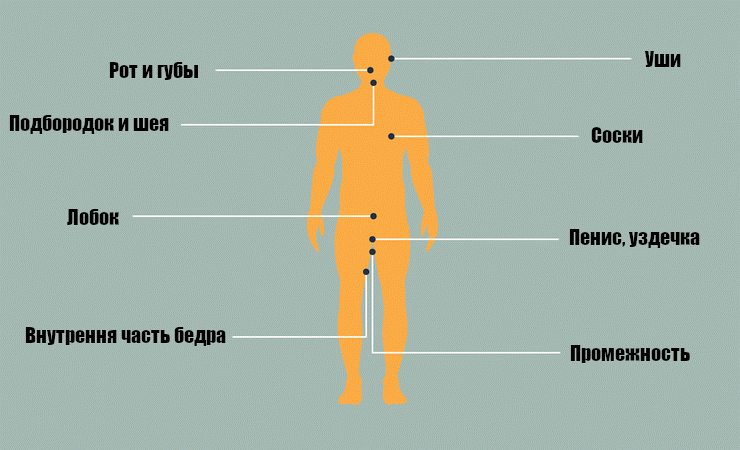 карта эрогенных зон у мужчин