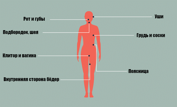 карта эрогенных зон у женщин
