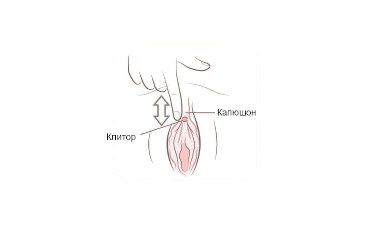 местоположение клитора