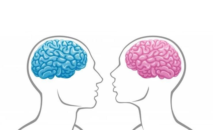 Откуда взялись намеки