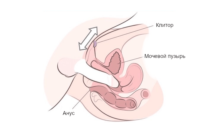 стимуляция клитора - инструкция для мужчин