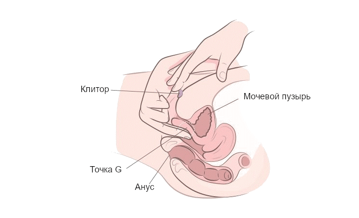 стимуляция клитора с проникновением во влагалище