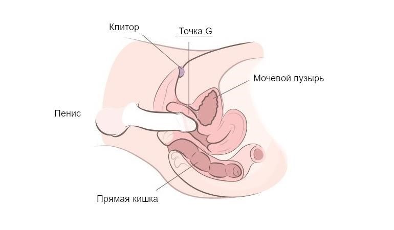 Традиционный секс