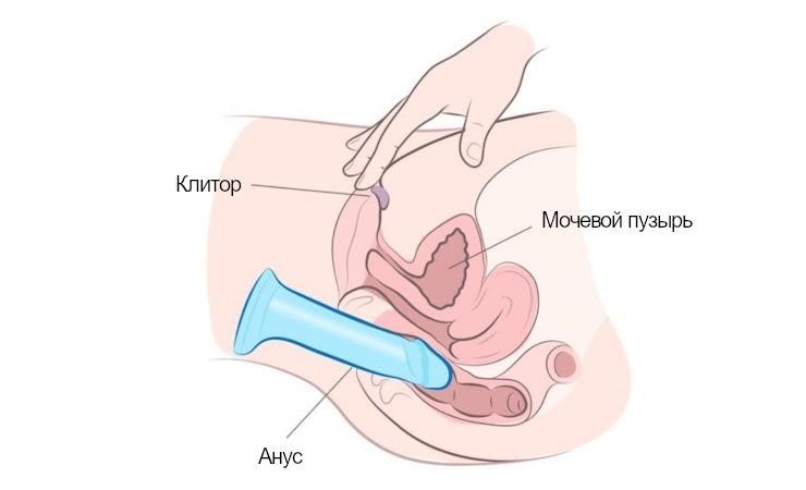 Анальная стимуляция