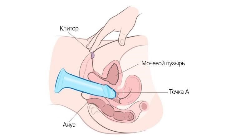 Чувство заполнения