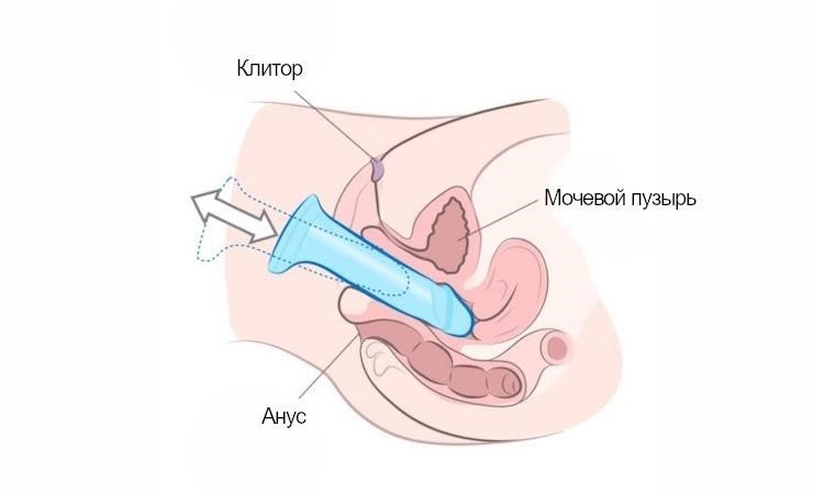 Как пользоваться фаллоимитатором - глубокое проникновение