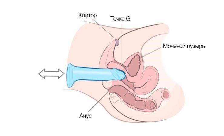 Как пользоваться фаллоимитатором - короткие толчки