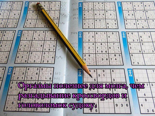 Оргазмы полезнее для мозга, чем разгадывание кроссвордов и головоломок судоку.