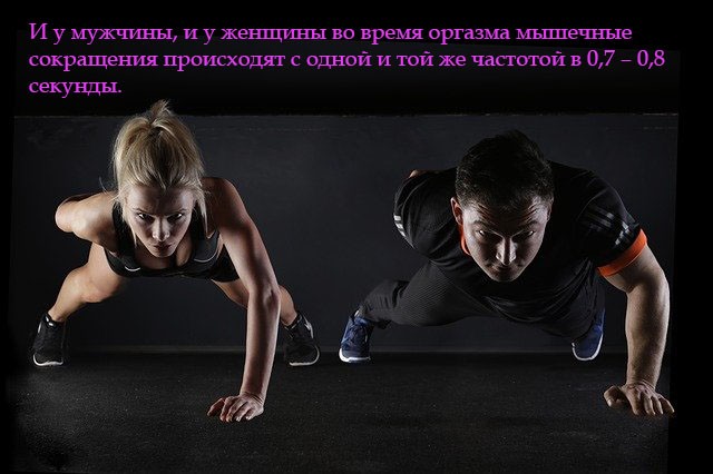 ) И у мужчины, и у женщины во время оргазма мышечные сокращения происходят с одной и той же частотой в 0,7 – 0,8 секунды.