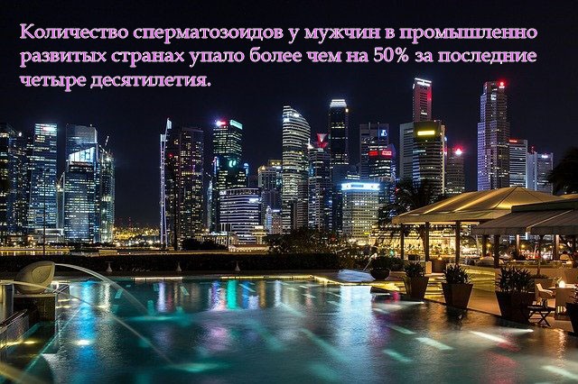 Количество сперматозоидов у мужчин в промышленно развитых странах упало более чем на 50% за последние четыре десятилетия.