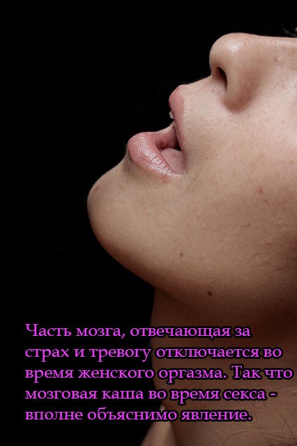 Часть мозга, отвечающая за страх и тревогу отключается во время женского оргазма. Так что мозговая каша во время секса - вполне объяснимо явление.