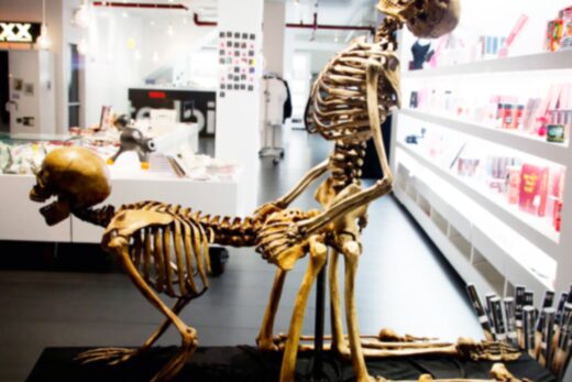 скелеты занимаются сексом