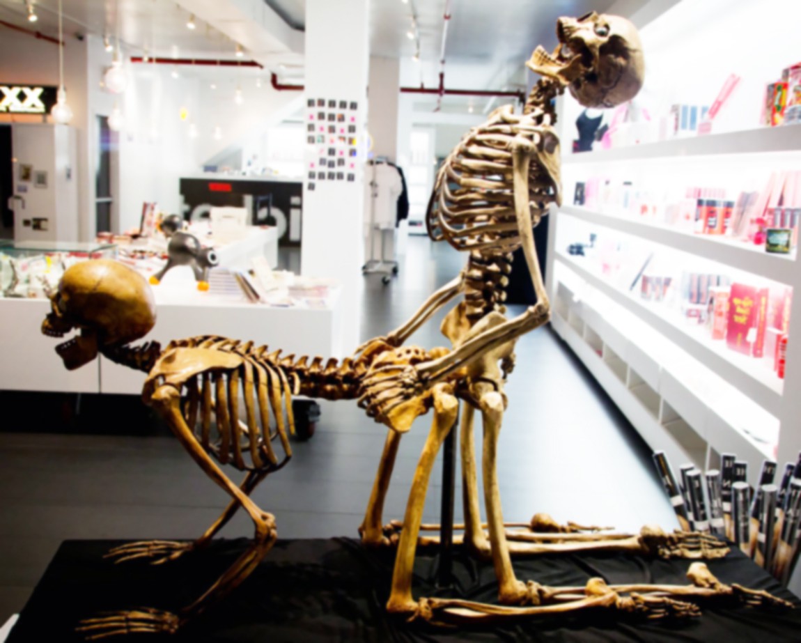 скелеты занимаются сексом